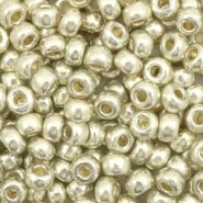 Miyuki rocailles Perlen 6/0 - Duracoat galvanized silver 6-4201